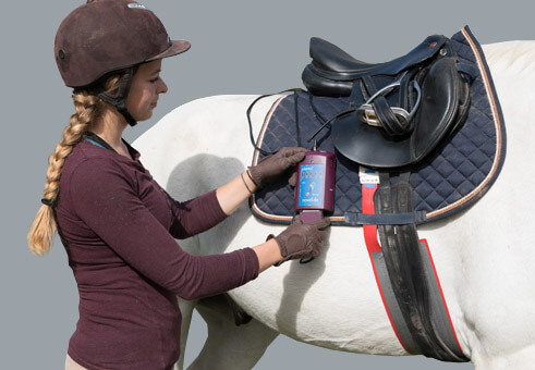 pliance : Pressure between saddle and horse | novel.de