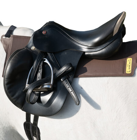 pliance® – s: Pressure between saddle and horse - novel sensors