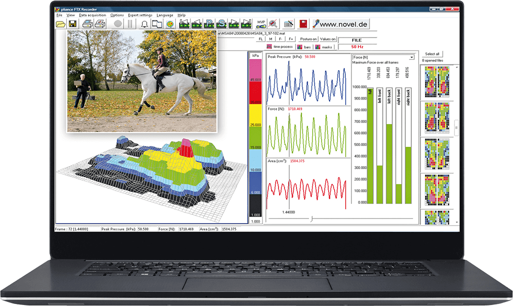 horse pressure mapping - rider pressure measurement - saddle fitting