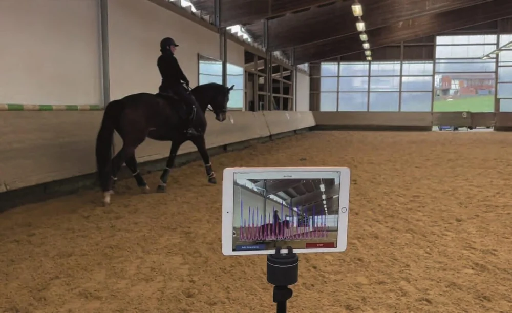 Rider and horse showing an application of loadpad force measurement